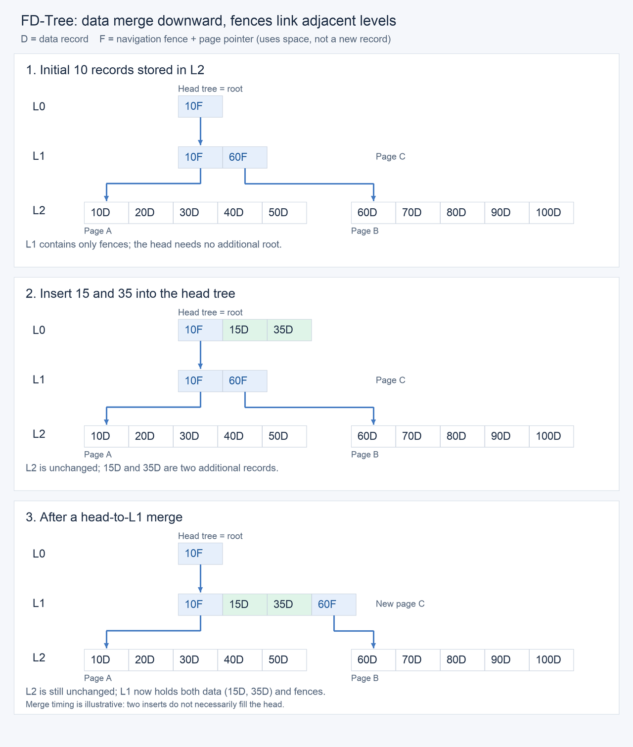 fd-tree-three-stages