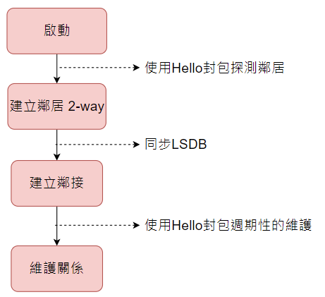 01-OSPF流程