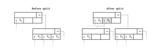 rightmost-pointer-split